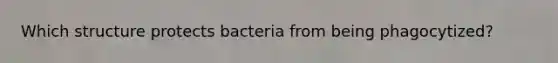 Which structure protects bacteria from being phagocytized?