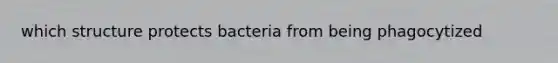 which structure protects bacteria from being phagocytized