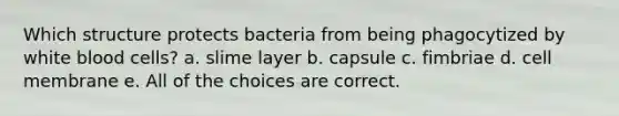 Which structure protects bacteria from being phagocytized by white blood cells? a. slime layer b. capsule c. fimbriae d. cell membrane e. All of the choices are correct.