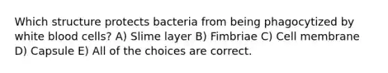 Which structure protects bacteria from being phagocytized by white blood cells? A) Slime layer B) Fimbriae C) Cell membrane D) Capsule E) All of the choices are correct.