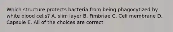 Which structure protects bacteria from being phagocytized by white blood cells? A. slim layer B. Fimbriae C. Cell membrane D. Capsule E. All of the choices are correct