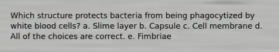 Which structure protects bacteria from being phagocytized by white blood cells? a. Slime layer b. Capsule c. Cell membrane d. All of the choices are correct. e. Fimbriae