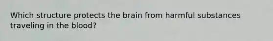 Which structure protects the brain from harmful substances traveling in the blood?