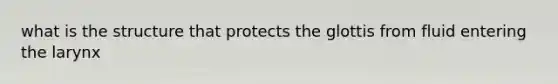 what is the structure that protects the glottis from fluid entering the larynx