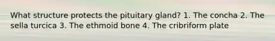 What structure protects the pituitary gland? 1. The concha 2. The sella turcica 3. The ethmoid bone 4. The cribriform plate