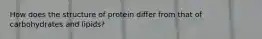 How does the structure of protein differ from that of carbohydrates and lipids?