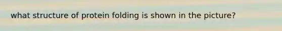 what structure of protein folding is shown in the picture?