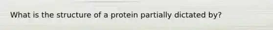 What is the structure of a protein partially dictated by?