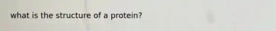 what is the structure of a protein?