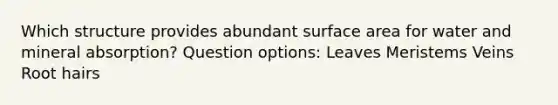 Which structure provides abundant surface area for water and mineral absorption? Question options: Leaves Meristems Veins Root hairs