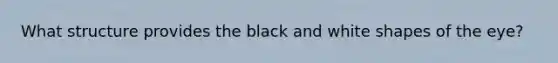 What structure provides the black and white shapes of the eye?