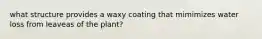 what structure provides a waxy coating that mimimizes water loss from leaveas of the plant?