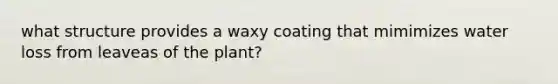 what structure provides a waxy coating that mimimizes water loss from leaveas of the plant?