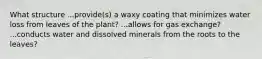 What structure ...provide(s) a waxy coating that minimizes water loss from leaves of the plant? ...allows for gas exchange? ...conducts water and dissolved minerals from the roots to the leaves?