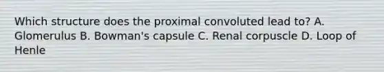 Which structure does the proximal convoluted lead to? A. Glomerulus B. Bowman's capsule C. Renal corpuscle D. Loop of Henle