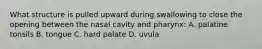 What structure is pulled upward during swallowing to close the opening between the nasal cavity and pharynx: A. palatine tonsils B. tongue C. hard palate D. uvula