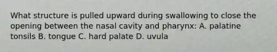 What structure is pulled upward during swallowing to close the opening between the nasal cavity and pharynx: A. palatine tonsils B. tongue C. hard palate D. uvula