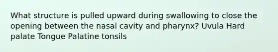 What structure is pulled upward during swallowing to close the opening between the nasal cavity and pharynx? Uvula Hard palate Tongue Palatine tonsils