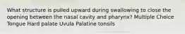 What structure is pulled upward during swallowing to close the opening between the nasal cavity and pharynx? Multiple Choice Tongue Hard palate Uvula Palatine tonsils