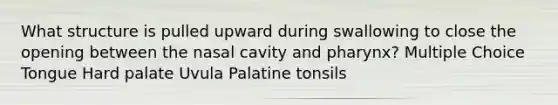 What structure is pulled upward during swallowing to close the opening between the nasal cavity and pharynx? Multiple Choice Tongue Hard palate Uvula Palatine tonsils