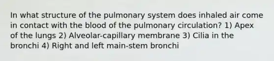 In what structure of the pulmonary system does inhaled air come in contact with the blood of the pulmonary circulation? 1) Apex of the lungs 2) Alveolar-capillary membrane 3) Cilia in the bronchi 4) Right and left main-stem bronchi