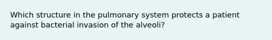 Which structure in the pulmonary system protects a patient against bacterial invasion of the alveoli?