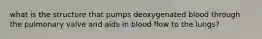 what is the structure that pumps deoxygenated blood through the pulmonary valve and aids in blood flow to the lungs?