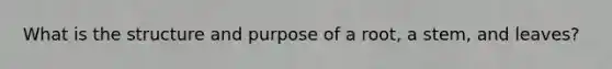 What is the structure and purpose of a root, a stem, and leaves?