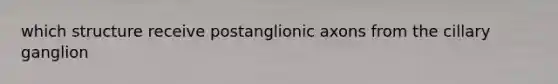 which structure receive postanglionic axons from the cillary ganglion