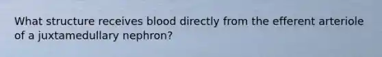 What structure receives blood directly from the efferent arteriole of a juxtamedullary nephron?
