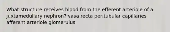 What structure receives blood from the efferent arteriole of a juxtamedullary nephron? vasa recta peritubular capillaries afferent arteriole glomerulus