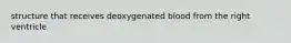 structure that receives deoxygenated blood from the right ventricle