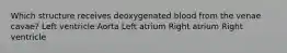 Which structure receives deoxygenated blood from the venae cavae? Left ventricle Aorta Left atrium Right atrium Right ventricle