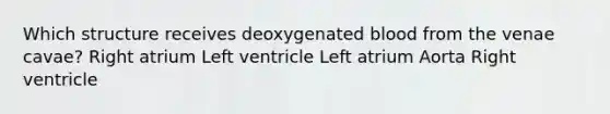 Which structure receives deoxygenated blood from the venae cavae? Right atrium Left ventricle Left atrium Aorta Right ventricle