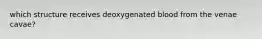 which structure receives deoxygenated blood from the venae cavae?