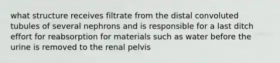 what structure receives filtrate from the distal convoluted tubules of several nephrons and is responsible for a last ditch effort for reabsorption for materials such as water before the urine is removed to the renal pelvis