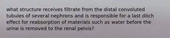 what structure receives filtrate from the distal convoluted tubules of several nephrons and is responsible for a last ditch effect for reabsorption of materials such as water before the urine is removed to the renal pelvis?