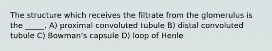 The structure which receives the filtrate from the glomerulus is the _____. A) proximal convoluted tubule B) distal convoluted tubule C) Bowman's capsule D) loop of Henle