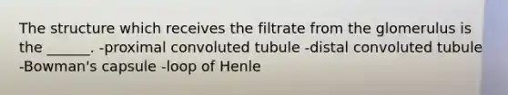 The structure which receives the filtrate from the glomerulus is the ______. -proximal convoluted tubule -distal convoluted tubule -Bowman's capsule -loop of Henle