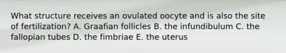 What structure receives an ovulated oocyte and is also the site of fertilization? A. Graafian follicles B. the infundibulum C. the fallopian tubes D. the fimbriae E. the uterus