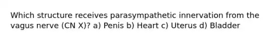 Which structure receives parasympathetic innervation from the vagus nerve (CN X)? a) Penis b) Heart c) Uterus d) Bladder