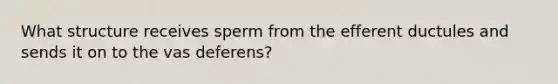 What structure receives sperm from the efferent ductules and sends it on to the vas deferens?