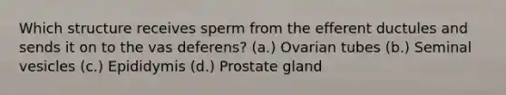 Which structure receives sperm from the efferent ductules and sends it on to the vas deferens? (a.) Ovarian tubes (b.) Seminal vesicles (c.) Epididymis (d.) Prostate gland