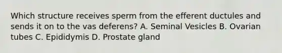 Which structure receives sperm from the efferent ductules and sends it on to the vas deferens? A. Seminal Vesicles B. Ovarian tubes C. Epididymis D. Prostate gland