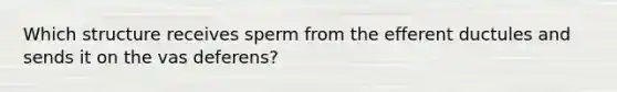 Which structure receives sperm from the efferent ductules and sends it on the vas deferens?