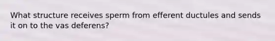 What structure receives sperm from efferent ductules and sends it on to the vas deferens?