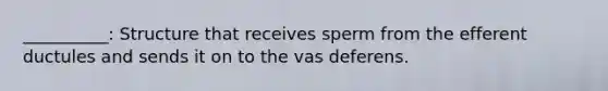 __________: Structure that receives sperm from the efferent ductules and sends it on to the vas deferens.