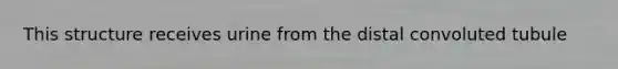 This structure receives urine from the distal convoluted tubule