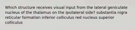 Which structure receives visual input from the lateral geniculate nucleus of the thalamus on the ipsilateral side? substantia nigra reticular formation inferior colliculus red nucleus superior colliculus