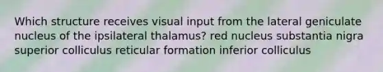 Which structure receives visual input from the lateral geniculate nucleus of the ipsilateral thalamus? red nucleus substantia nigra superior colliculus reticular formation inferior colliculus